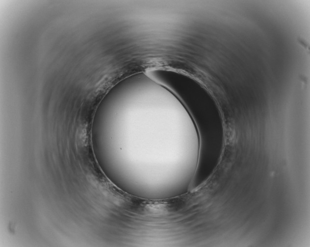 X0000103310560200808291155