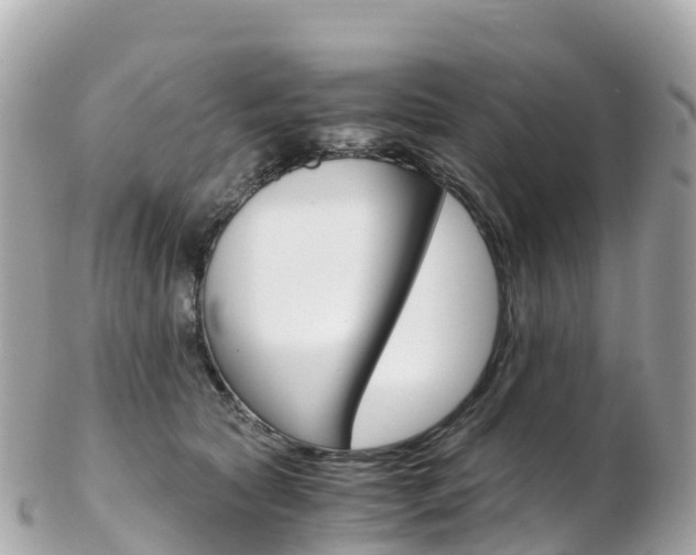 X0000103310561200808291155