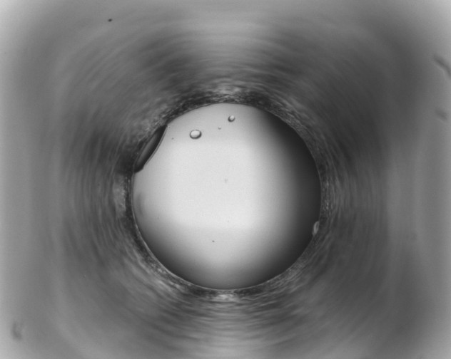 X0000103310562200808291155