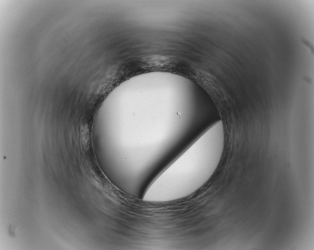 X0000103310563200808291155