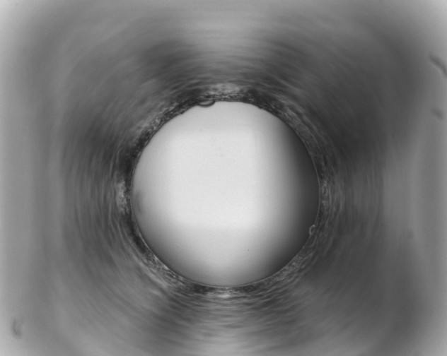 X0000103310564200808291155