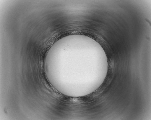 X0000103310565200808291155