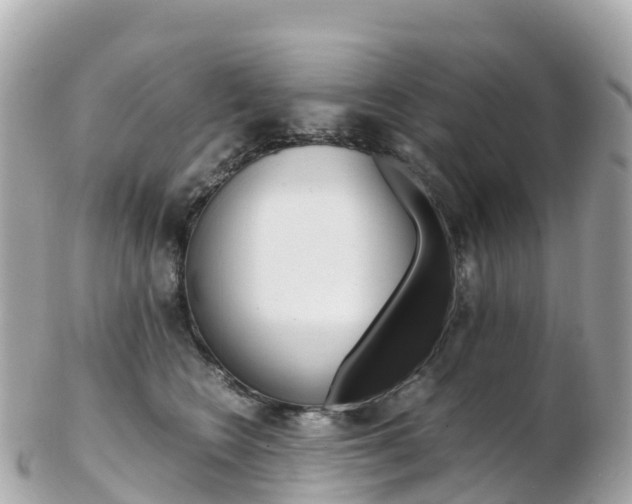 X0000103310566200808291155