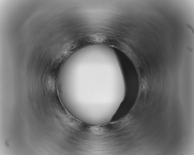 X0000103310568200808291155