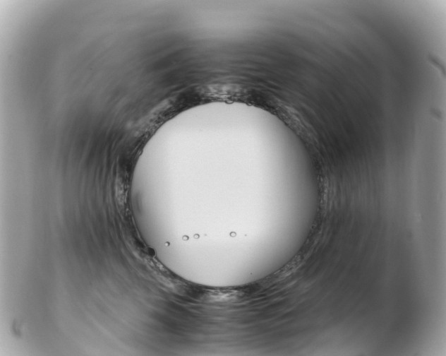 X0000103310569200808291155