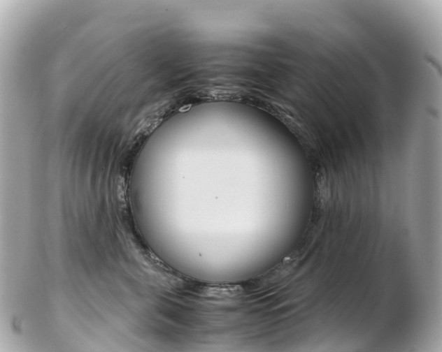 X0000103310571200808291155