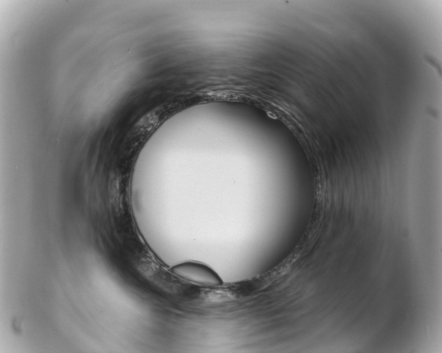 X0000103310572200808291155