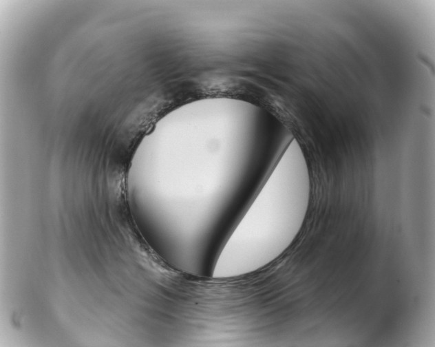 X0000103310574200808291155