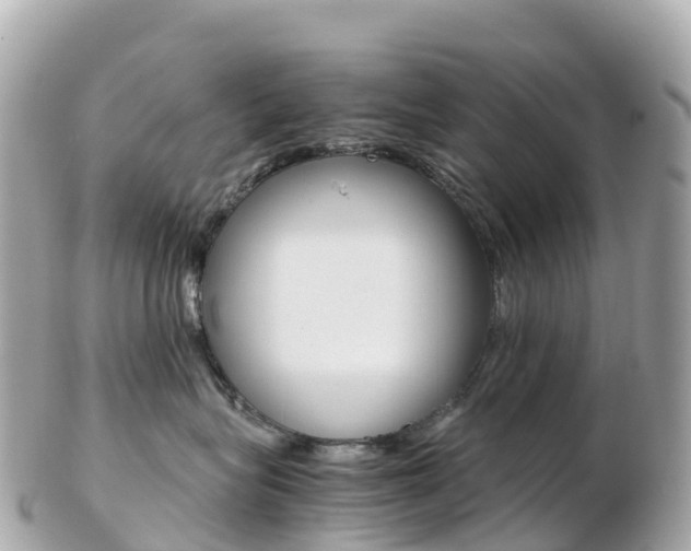 X0000103310575200808291155