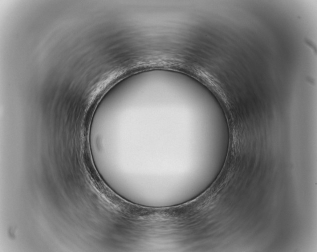 X0000103310578200808291154