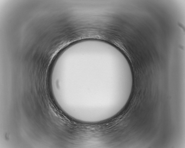 X0000103310579200808291154