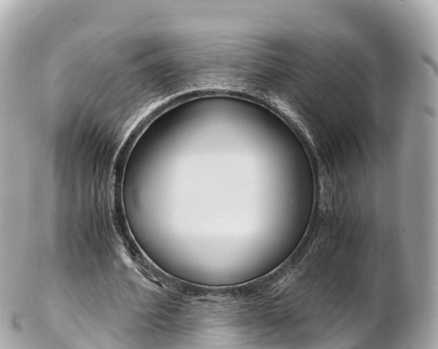X0000103310580200808291154