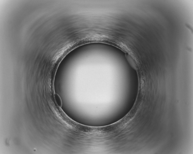 X0000103310581200808291154