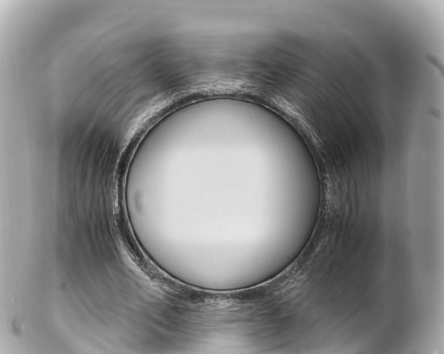 X0000103310582200808291154