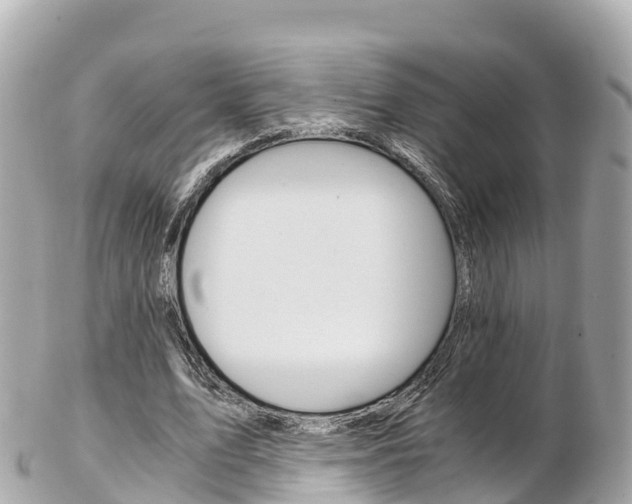 X0000103310583200808291154