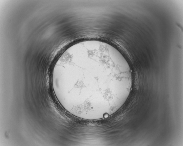 X0000103310584200808291154