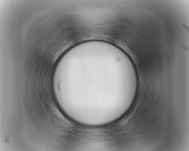 X0000103310585200808291154