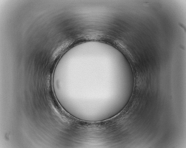 X0000103310586200808291154