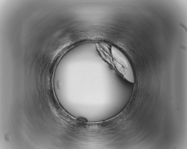 X0000103310587200808291154