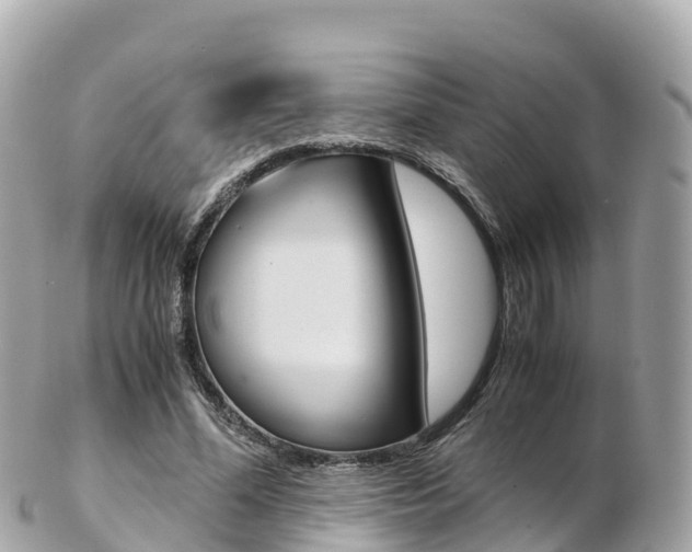 X0000103310588200808291154