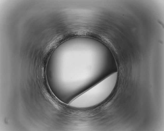 X0000103310589200808291154