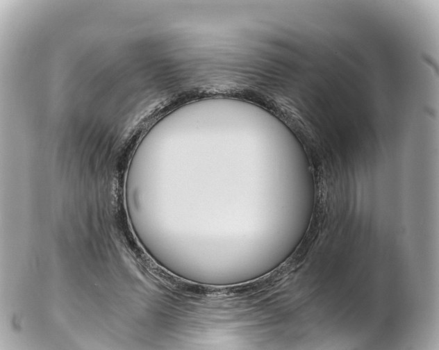 X0000103310591200808291154