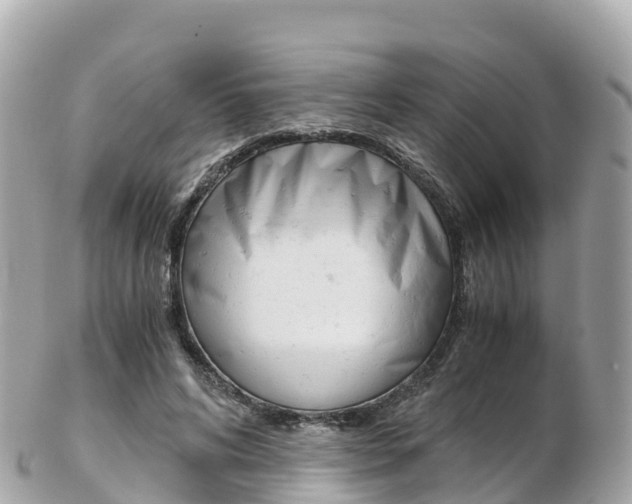 X0000103310592200808291154