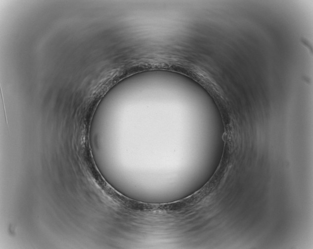 X0000103310593200808291154