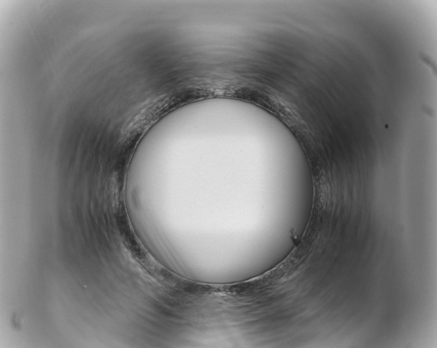 X0000103310594200808291154