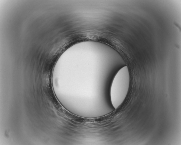 X0000103310595200808291154
