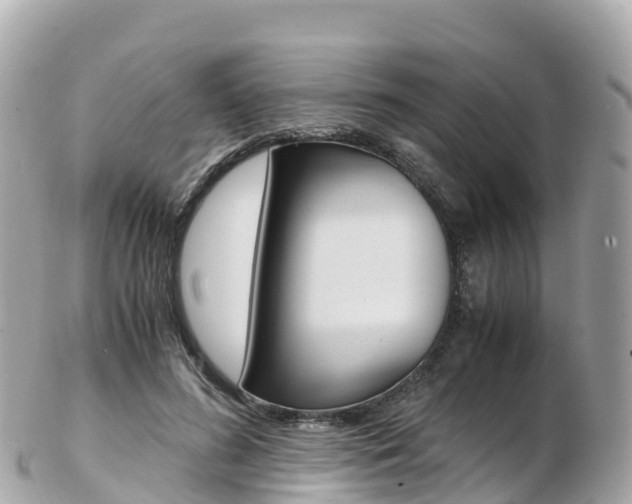 X0000103310596200808291154