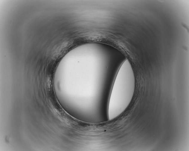 X0000103310597200808291154