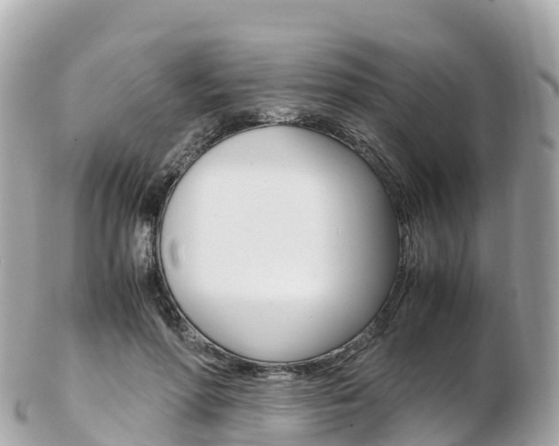 X0000103310598200808291154