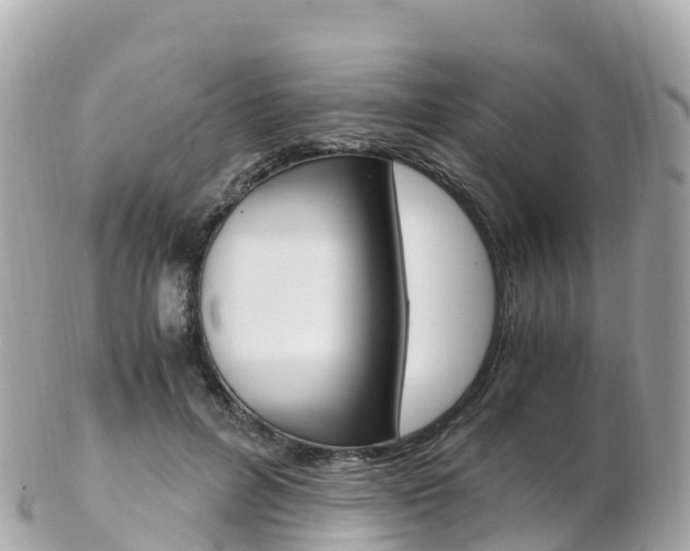 X0000103310600200808291154