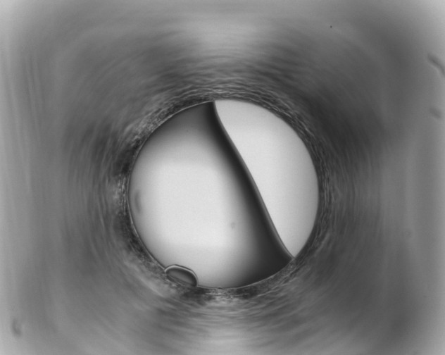 X0000103310601200808291154