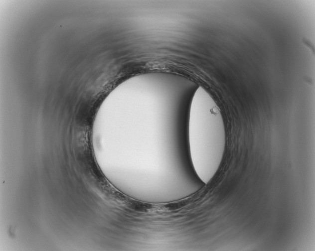 X0000103310603200808291154