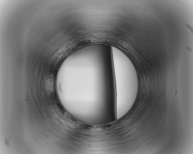 X0000103310604200808291154