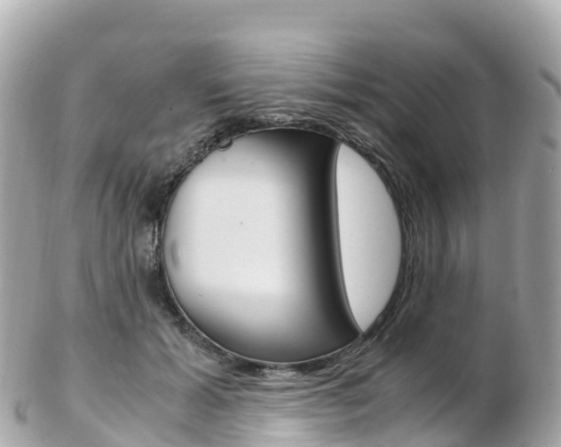 X0000103310605200808291154