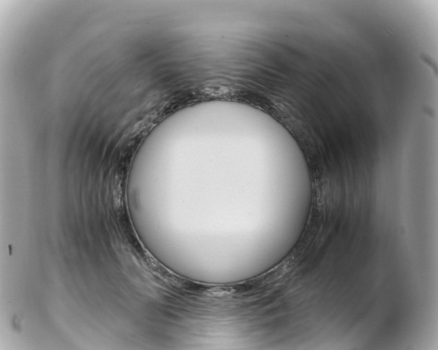 X0000103310606200808291154