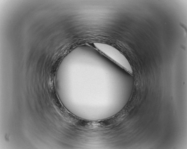 X0000103310607200808291154