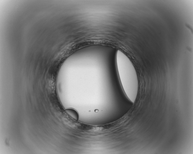 X0000103310609200808291154