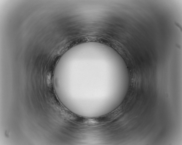 X0000103310610200808291154
