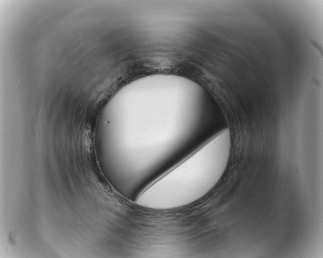 X0000103310612200808291154