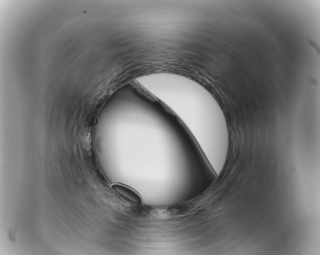 X0000103310613200808291154