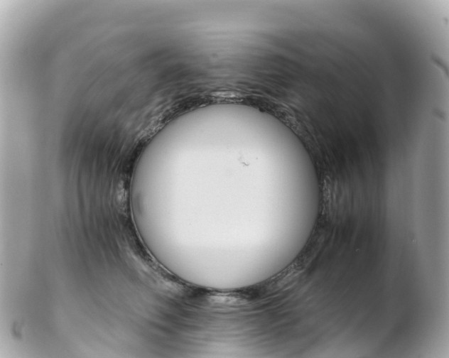 X0000103310614200808291154