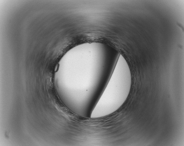 X0000103310615200808291154
