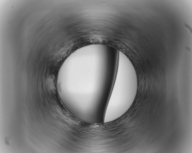 X0000103310616200808291154