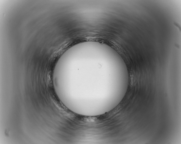 X0000103310618200808291154
