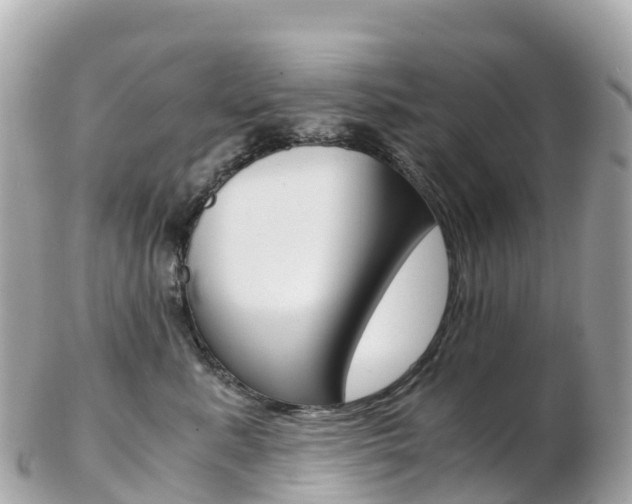 X0000103310619200808291154