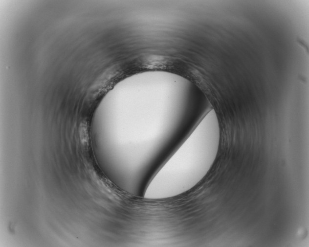 X0000103310620200808291154